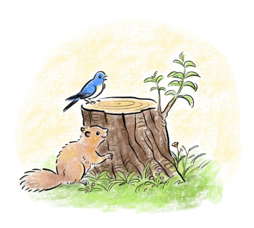 小さな居場所「ばうむ」